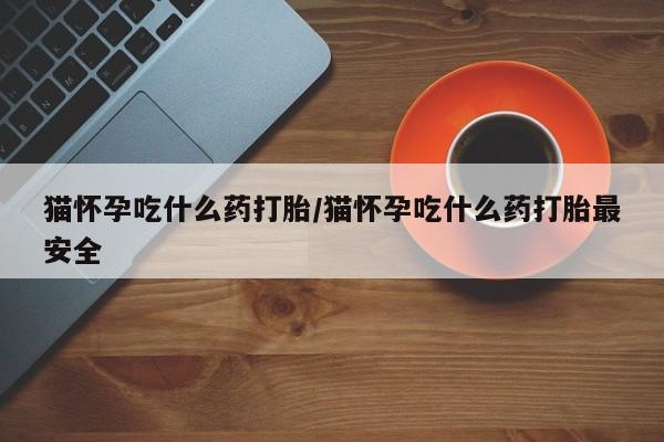 卖打胎药的微信堕胎药联系方式.猫怀孕吃什么药打胎/猫怀孕吃什么药打胎最安全