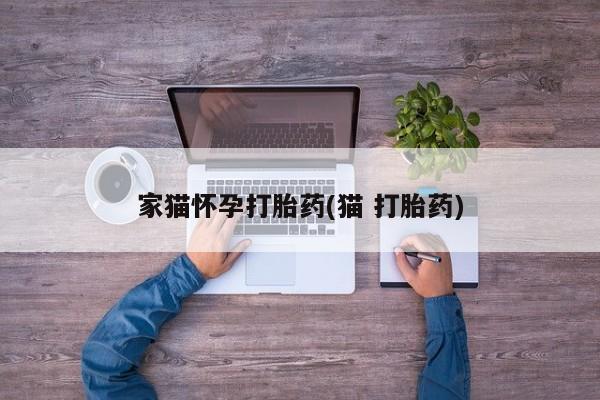 卖打胎药的微信堕胎药联系方式.家猫怀孕打胎药(猫 打胎药)